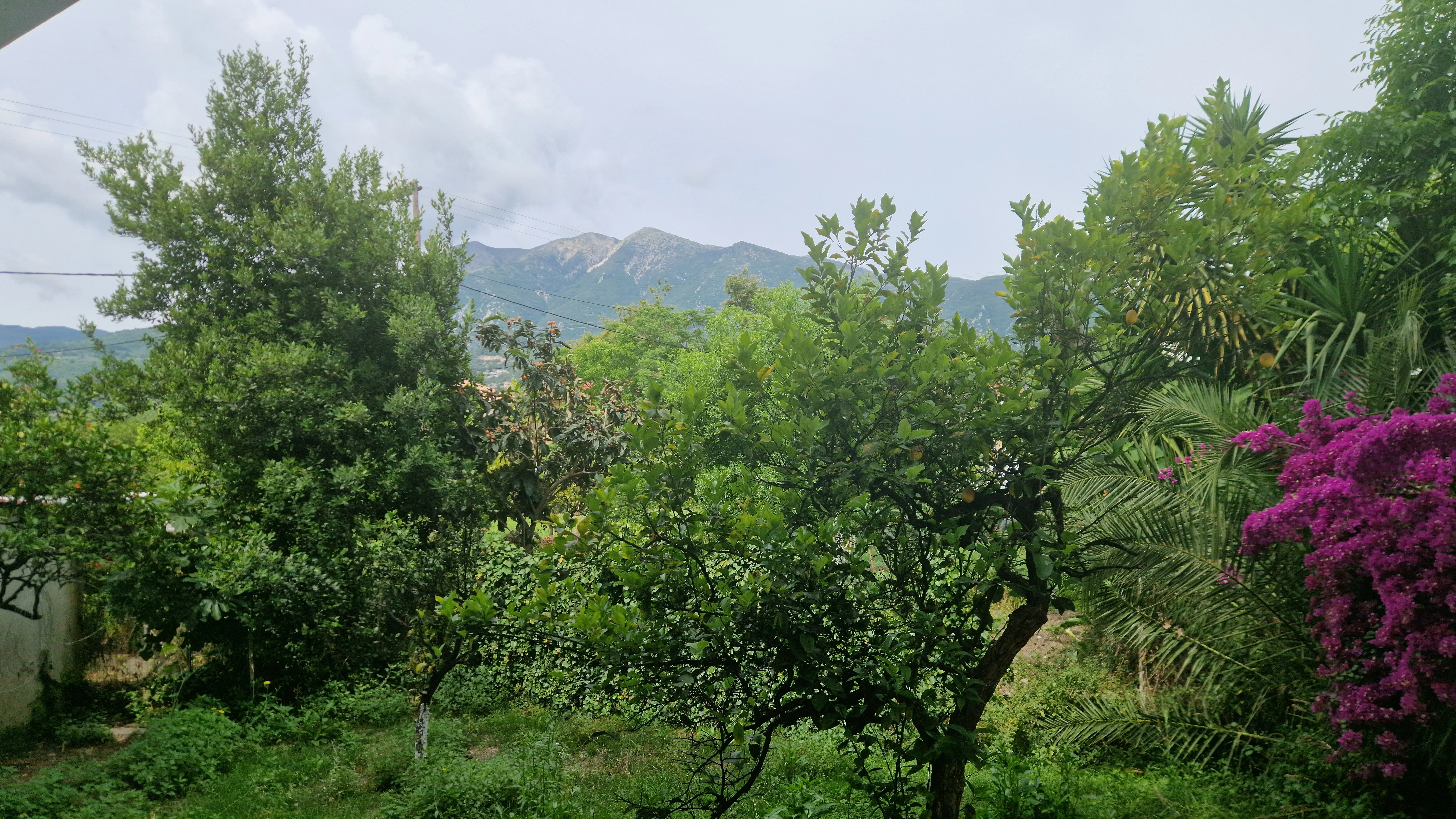 Οικογενειακή Σουίτα Plus